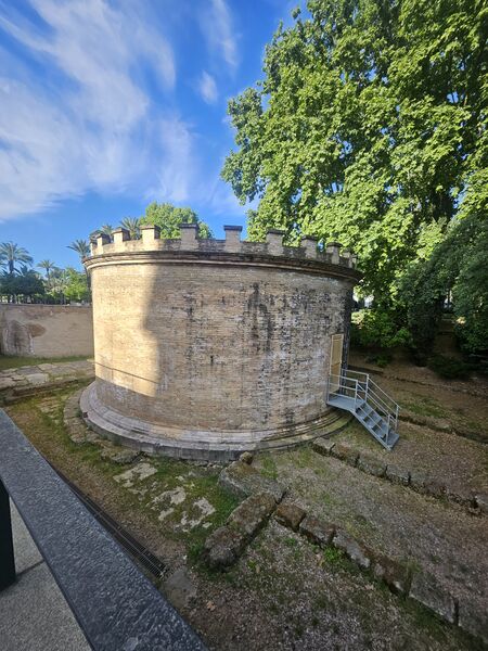 Archivo:20260418 094921.jpg