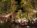 Vista nocturna de la plaza en Navidad