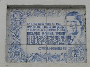 Placa Ricardo Molina en la calle Lineros.JPG