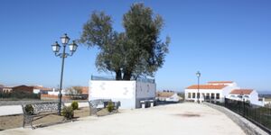 Vista7fuentelalancha.jpg