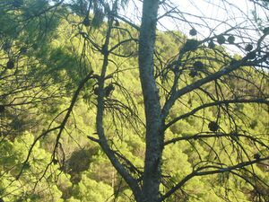 Fotos2007 147.jpg
