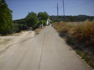 IMG 0422.JPG