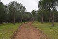 Sendero paraje Los Arroyones, obras mantenimiento febrero 2021.