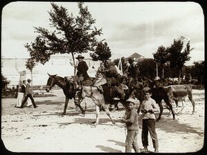 Fotografía de la Feria (1897).jpeg