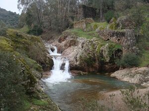 Charco del Molino.jpg