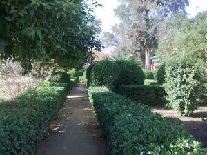 20112009 012.jpg