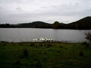 Ciguena14.jpg