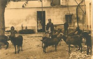 Usos y costumbres.jpg