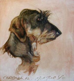 Cabeza teckel 27x27.jpg