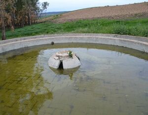Fuente Parrilla 2022 5.jpg