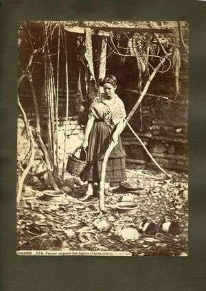 Cordobesa con canasto (1860s).JPG