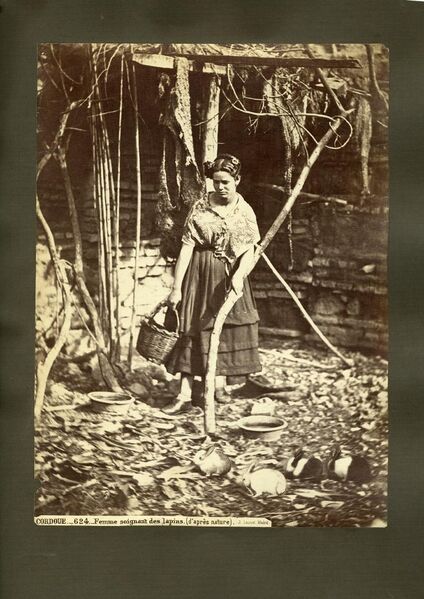 Archivo:Cordobesa con canasto (1860s).JPG