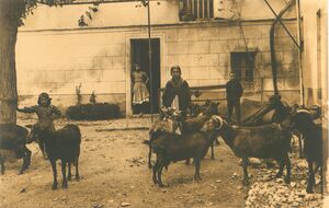 Tipos y costumbres 3.jpg
