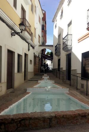 Cabra calle con fuente.jpg