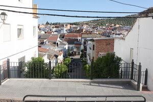 Director 1 Nueva Carteya.JPG