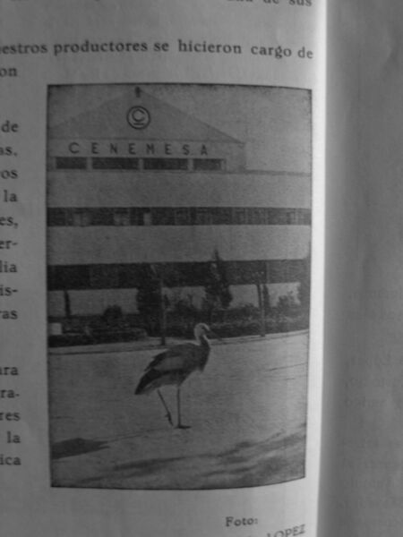 Archivo:Grupo de Empresa CENEMESA III.JPG