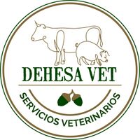 Logo - Dehesavet SLP.jpg