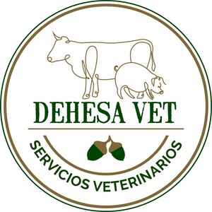 Logo - Dehesavet SLP.jpg