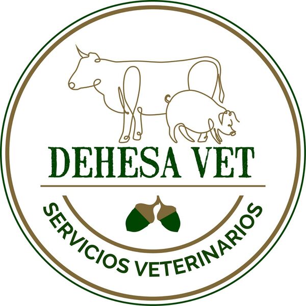 Archivo:Logo - Dehesavet SLP.jpg