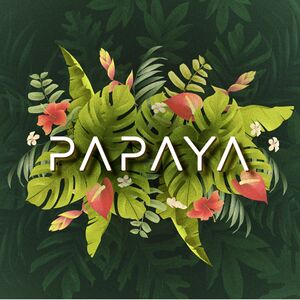 Logo - Pub Papaya.jpg