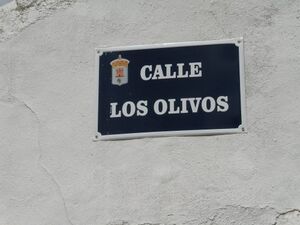 Cartelcallelosolivos.jpg
