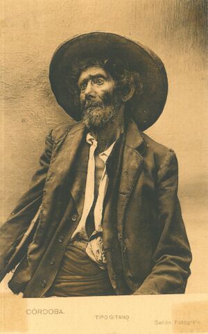 Hombre gitano.jpg