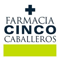 Logo - Cinco Caballeros Gesti n Y Salud SL.jpg