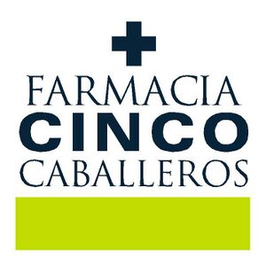 Logo - Cinco Caballeros Gesti n Y Salud SL.jpg