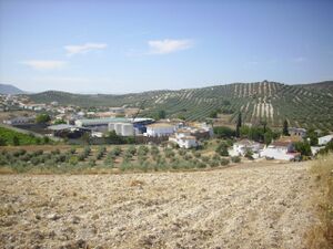 IMG 0424.JPG