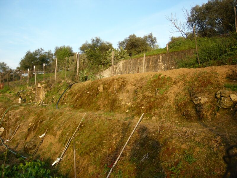 Archivo:Fuente del Toroz.Almodovar del Rio 09.JPG