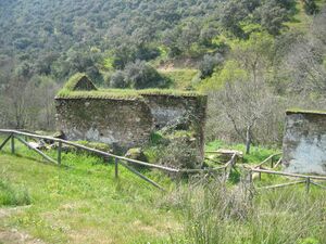 Molino de la Paloma.jpg