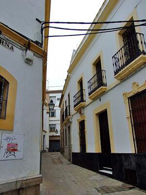 CallePierna01.jpg