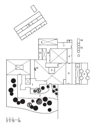 Algamarrilla8.jpg
