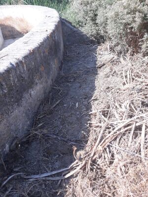 Fuente de la Parrilla4.jpg