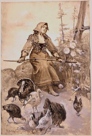 Dibujo de una Pavera. 1898. Tomás Muñoz Lucena. .jpg