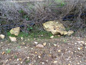 Fuente de Rabán (12).JPG