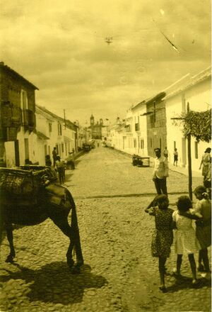 12 Primitiva calle portales Fuente Palmera.JPG
