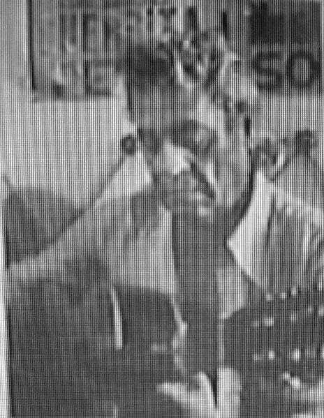 Archivo:Emilio Reyes II.jpg