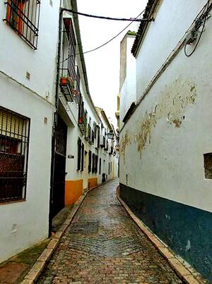 CalleSanchezdeFeria02.jpg
