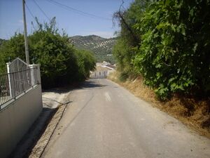 IMG 0427.JPG