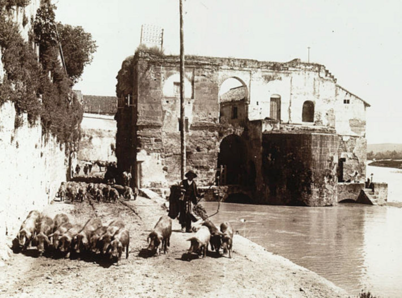 Archivo:Molino en el Guadalquivir con imagen de pastores (1897) de Lestrange.png