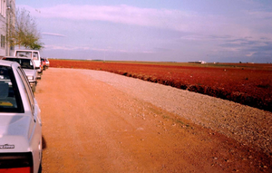 Ensanche Bulevar 1993 FP.png