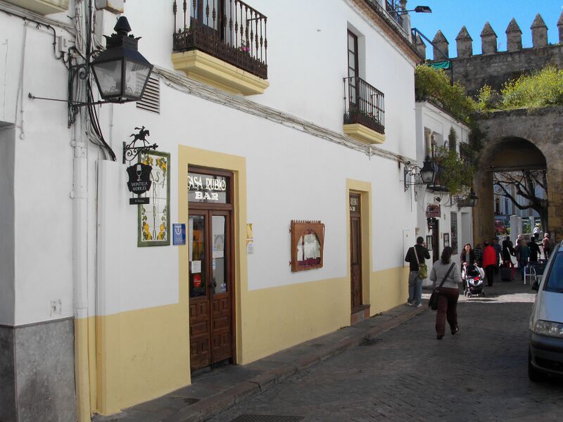 Archivo:El Rubio I.jpg