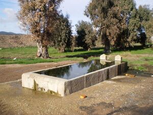 Pilar de San Pedro.JPG