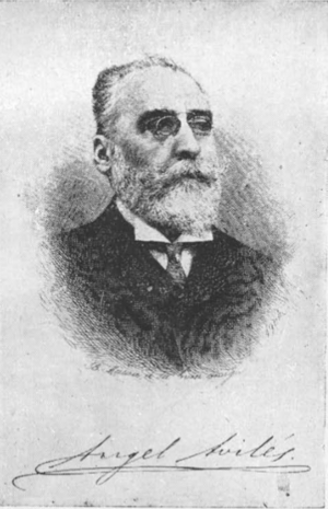 Ángel Avilés Merino.png
