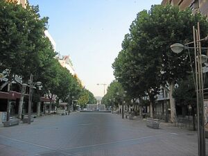 PlatanoSombra(2).jpg
