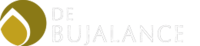 Logo - Debujalance SL.png