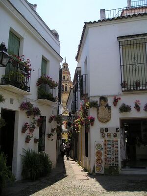 Calleja de las Flores y Torre de la Catedral.jpg