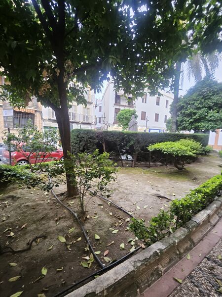 Archivo:20260423 201640.jpg