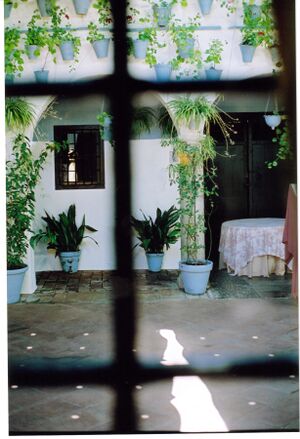 Campos 012.jpg